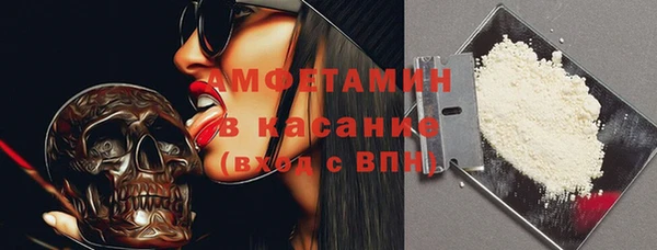 шишки Аркадак