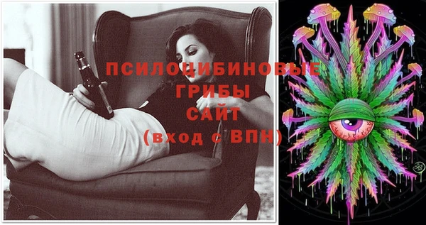 не бодяженный Арсеньев