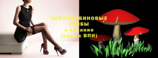 шишки Аркадак