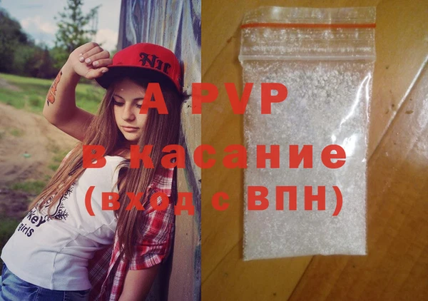 шишки Аркадак