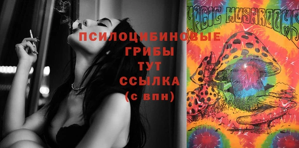 не бодяженный Арсеньев