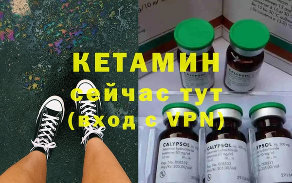 шишки Аркадак